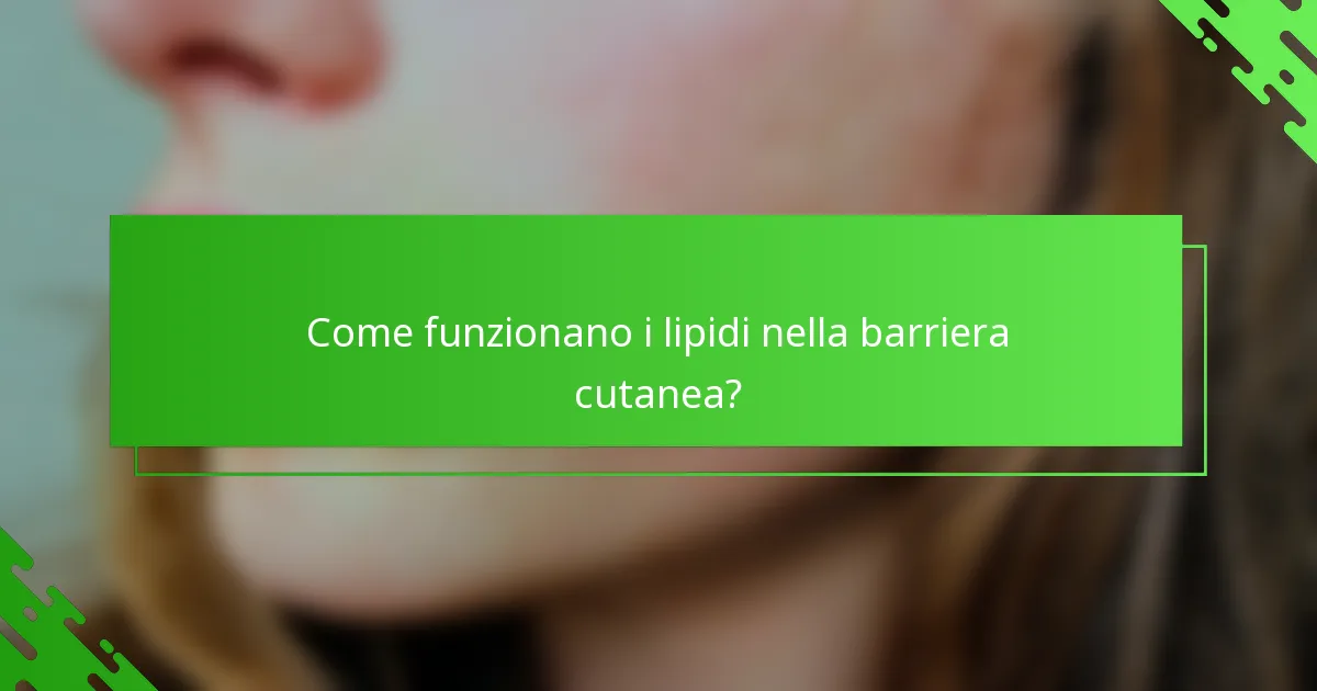 Come funzionano i lipidi nella barriera cutanea?